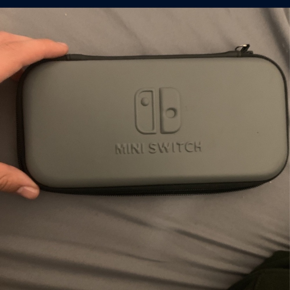Nintendo lite case